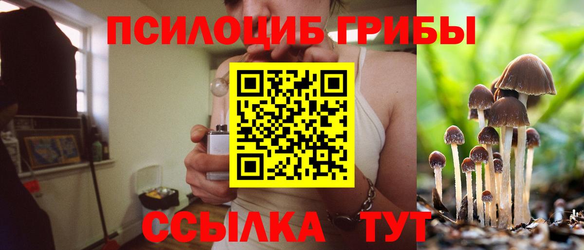 Тихорецк  Псилоцибиновые грибы прущие грибы  Вход с VPN  купить  сайты  Галлюциногенные грибы MAGIC MUSHROOMS 